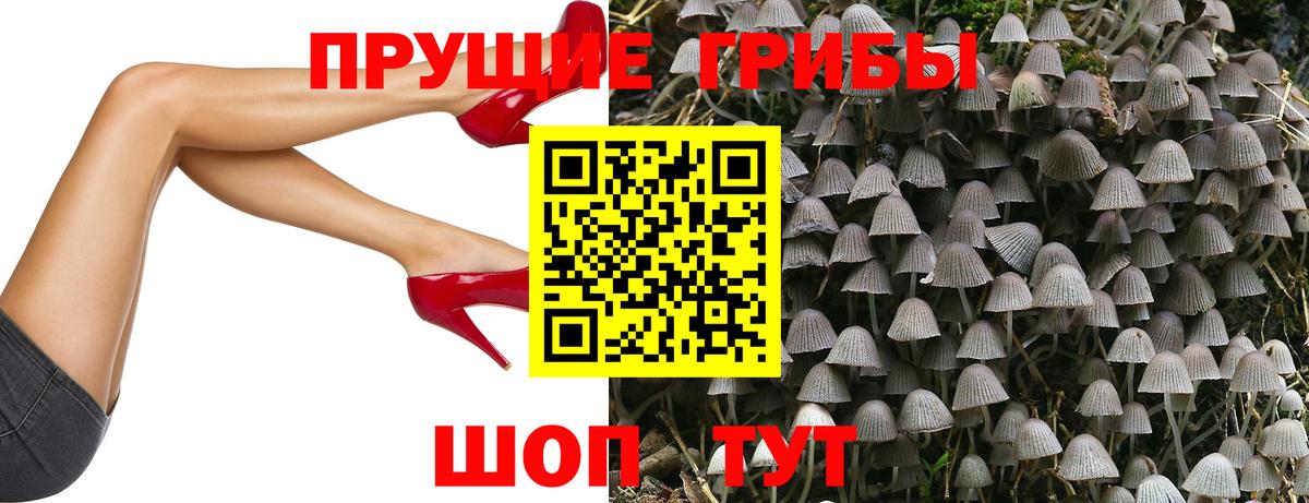 Галлюциногенные грибы MAGIC MUSHROOMS  Псилоцибиновые грибы Cubensis  Вход с VPN  Тихорецк 