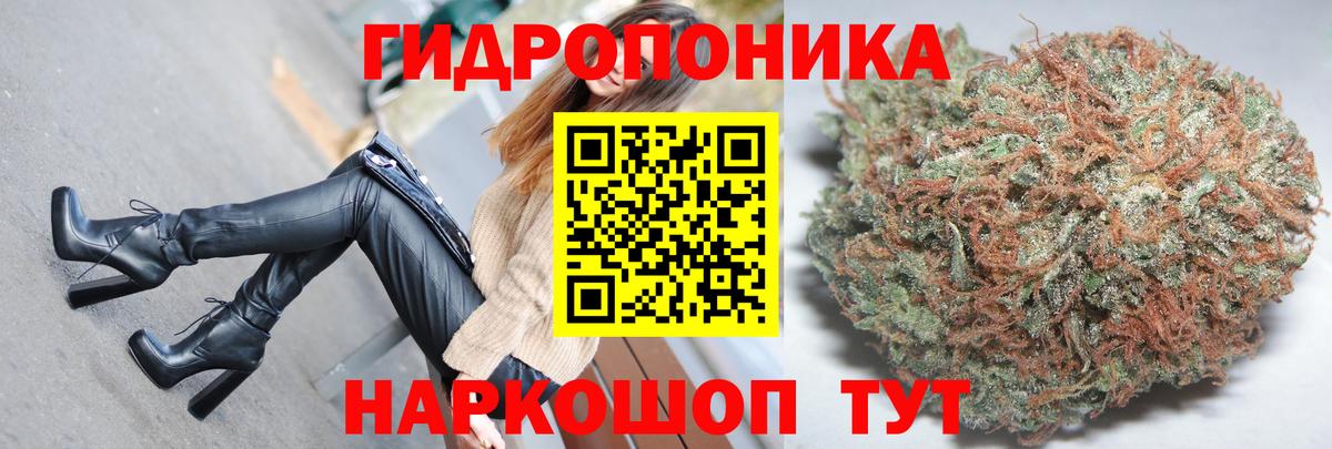 Шишки марихуана конопля  МАРИХУАНА планчик  Тихорецк  МАРИХУАНА AK-47  Вход с VPN  Шишки марихуана White Widow 